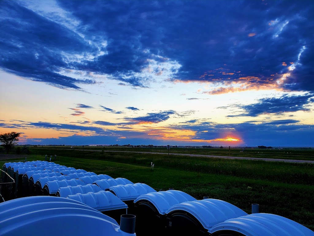 Minty Pine Septic Cleaning & Portable Toilet Rental | Box 344, Barnwell, AB T0K 0B0, Canada | Phone: (403) 634-6106