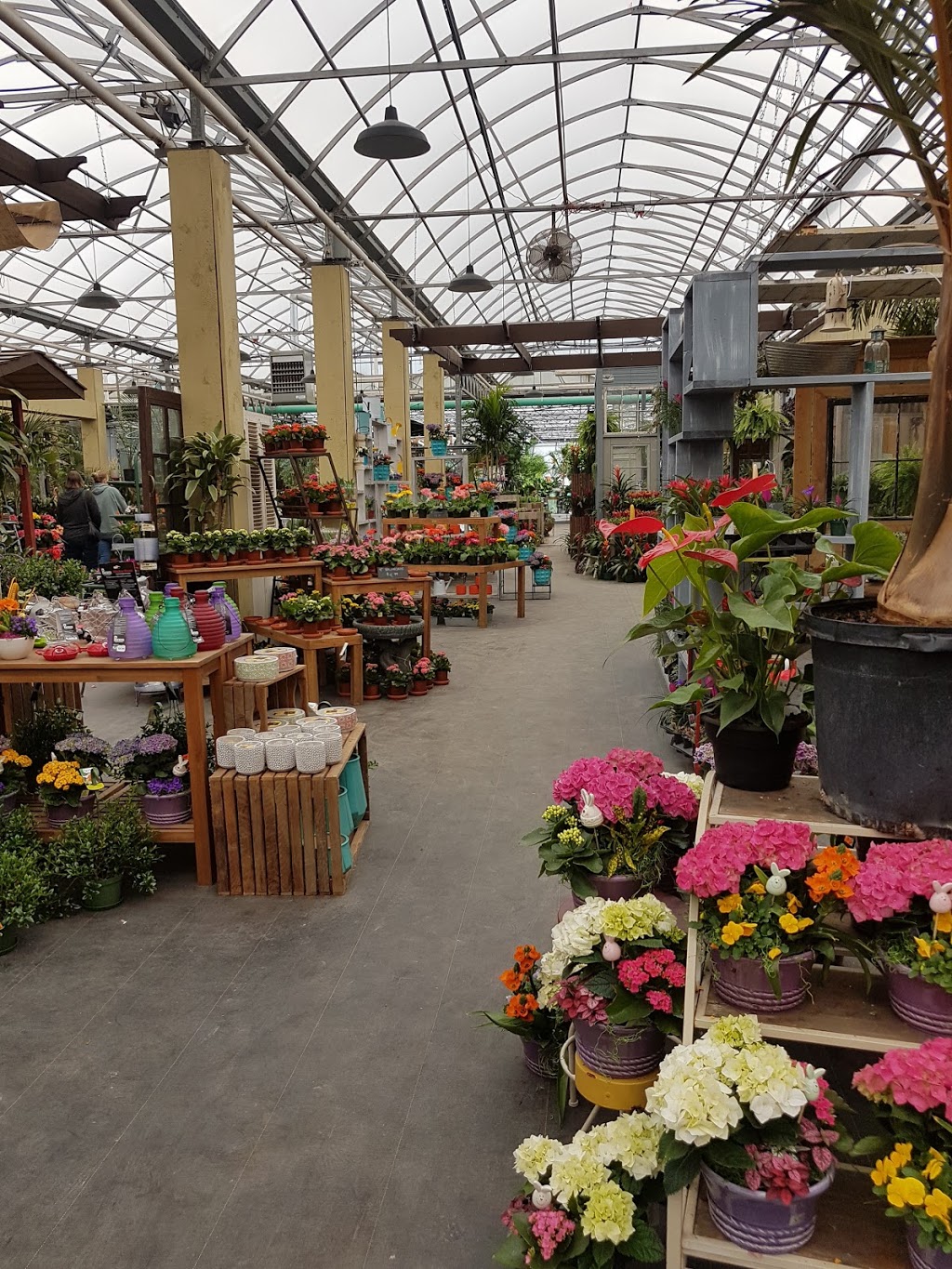 The Watering Can Flower Market | 3711 King St, Vineland, ON L0R 2C0, Canada | Phone: (905) 562-0088