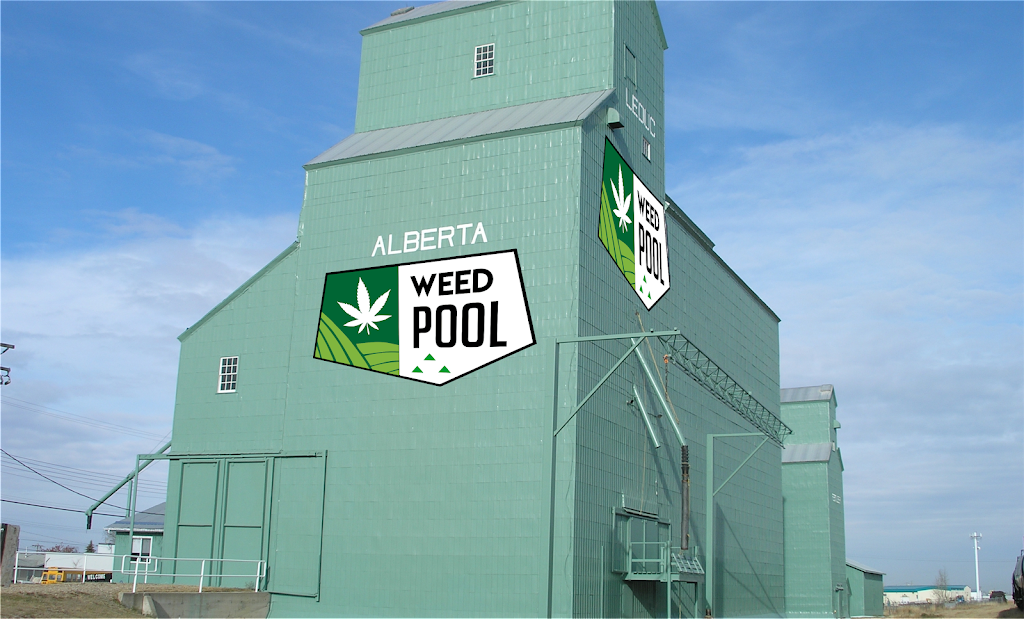 Weed Pool | 27212 Township Rd 391, Red Deer, AB T4P 0Z8, Canada | Phone: (403) 671-1493