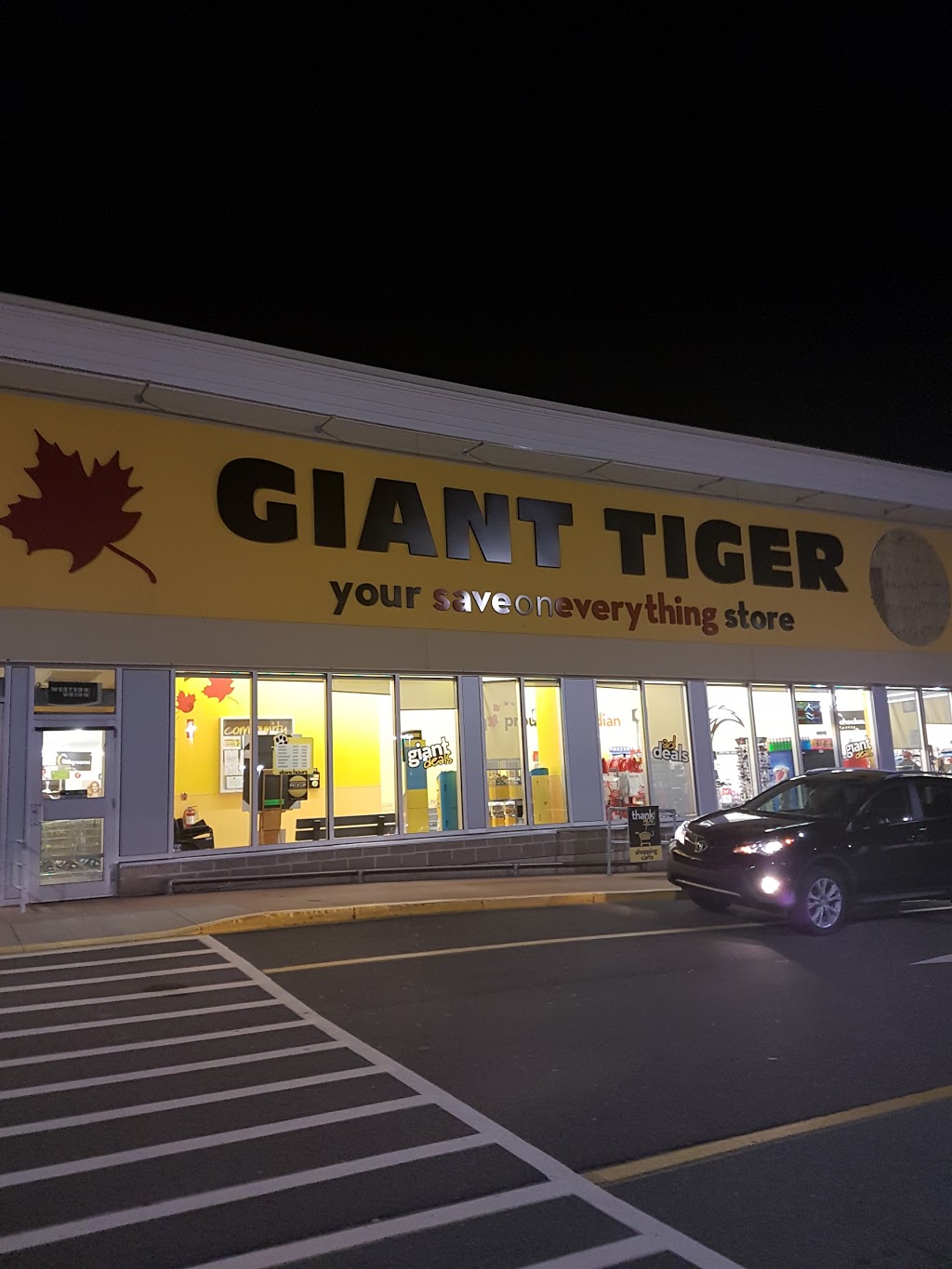 Giant Tiger | 142 S Albion St, Amherst, NS B4H 2X2, Canada | Phone: (902) 667-7116