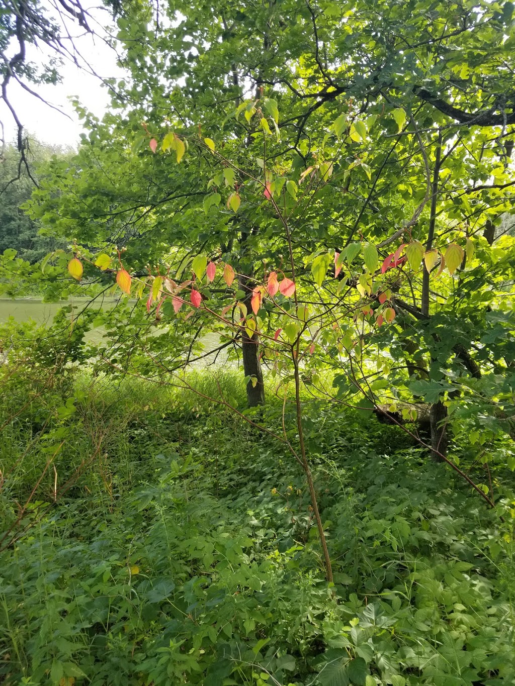 Parc national de Plaisance - Sepaq | 1001 Chemin de la Grande Presquîle, Plaisance, QC J0V 1S0, Canada | Phone: (418) 380-5875