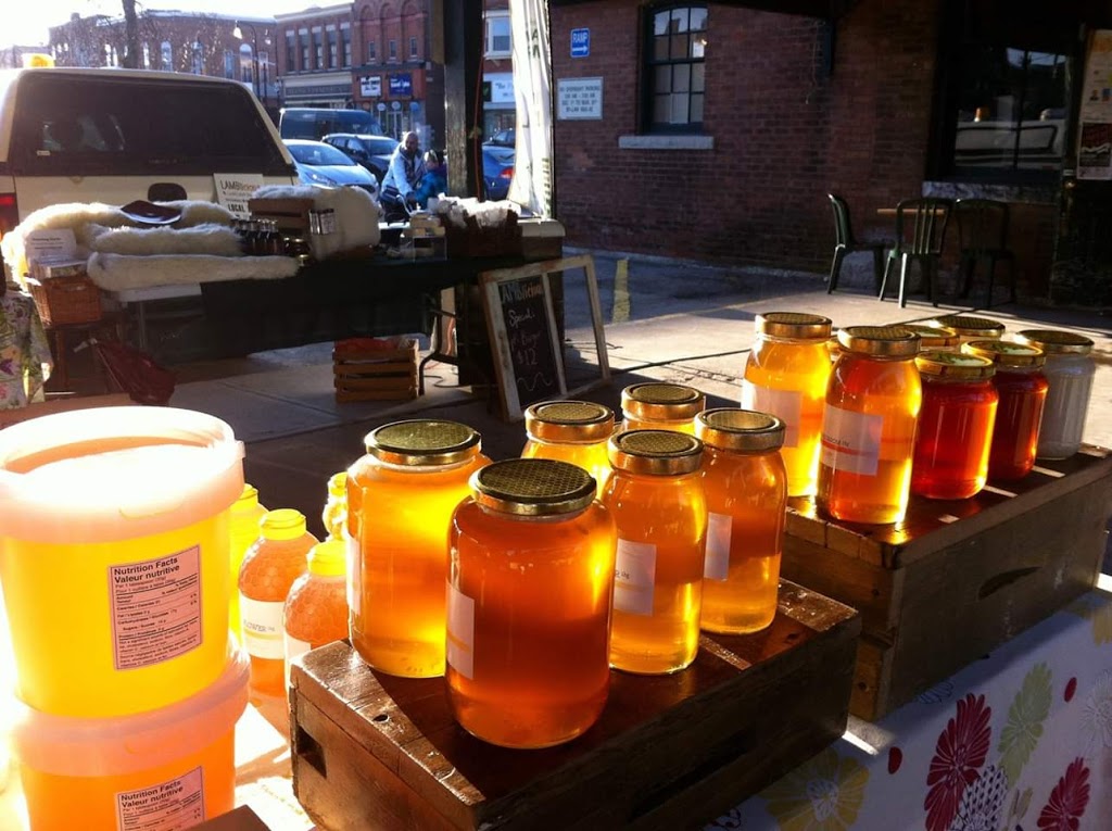 Chatsworth Honey | 777998 ON-10, Chatsworth, ON N0H 1G0, Canada | Phone: (519) 794-3335