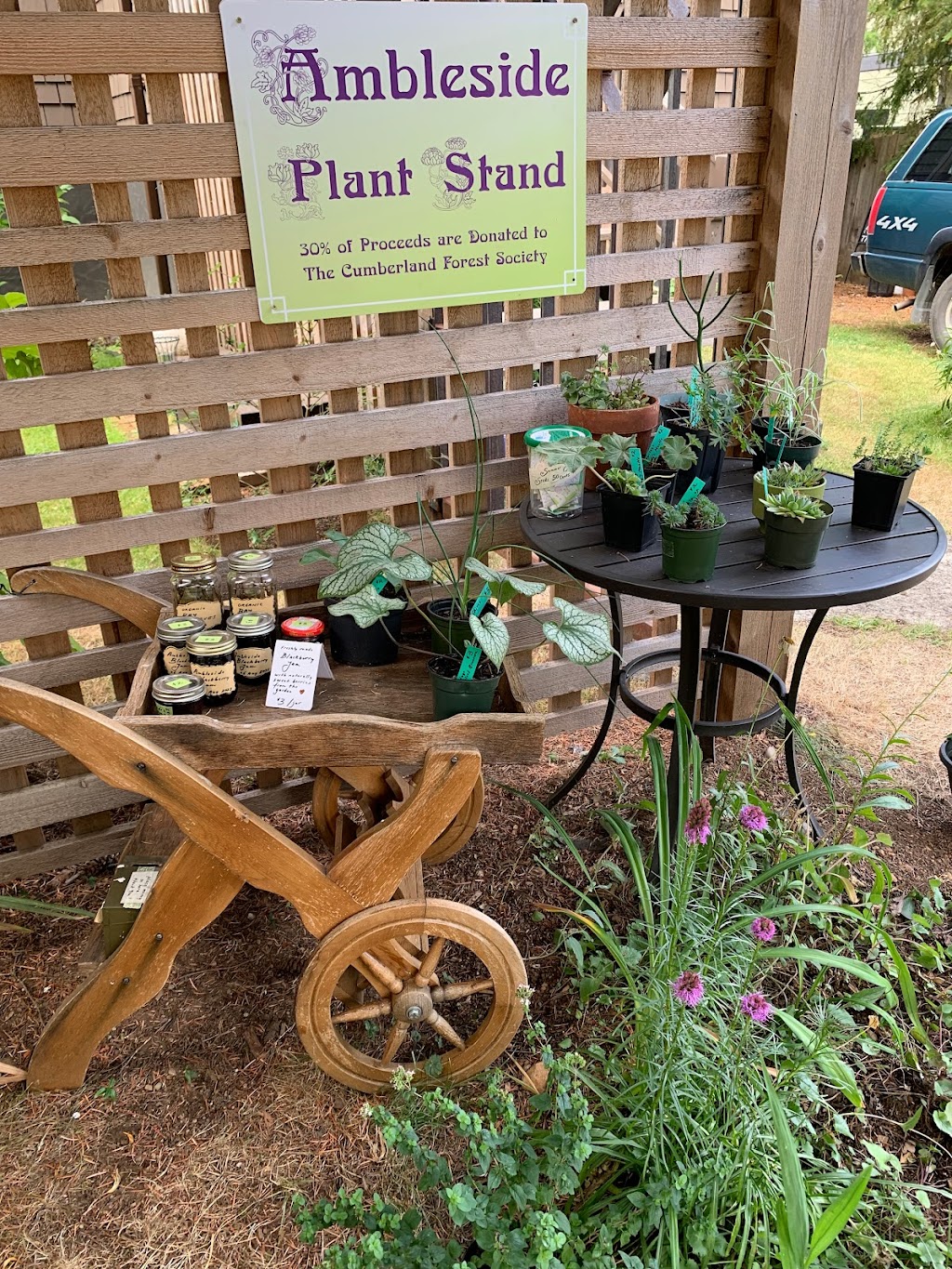 Ambleside Plant Stand | 2696 Ambleside Ave, Cumberland, BC V0R 1S0, Canada | Phone: (604) 970-8939