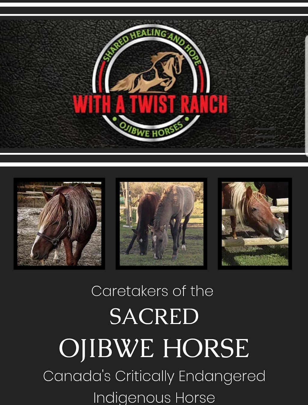 With a Twist Ranch | Range Rd 12, Onoway, AB T0E 1V0, Canada | Phone: (587) 340-7151