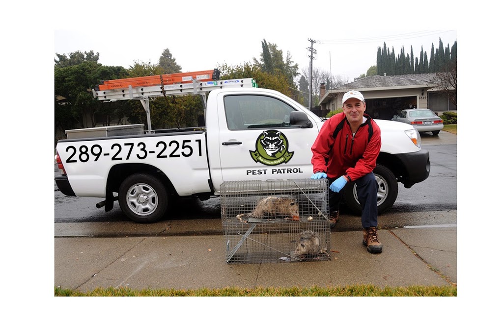 Pro Wildlife Niagara | 2 Orchard Pkwy #301, Grimsby, ON L3M 3A8, Canada | Phone: (289) 273-2251