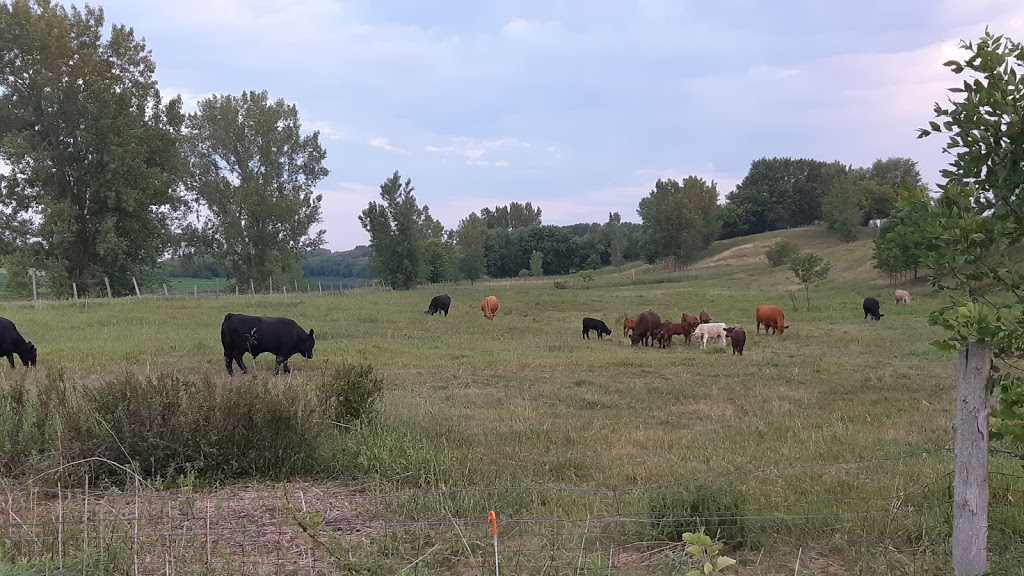 Ferme Bro-Grain | 475 Rang du Bord-de-lEau O, Saint-Aimé, QC J0G 1K0, Canada | Phone: (450) 788-2644