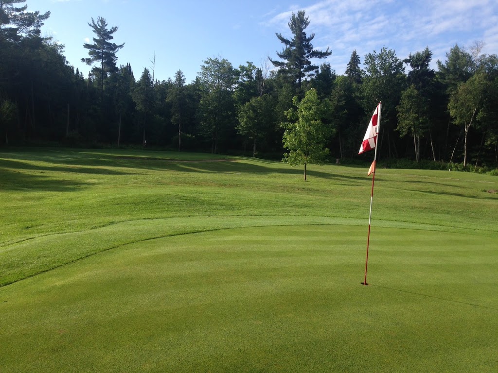 Landings Of Willow Creek Golf Course | 424 Penetanguishene Rd, Barrie, ON L9X 1W8, Canada | Phone: (705) 721-7908