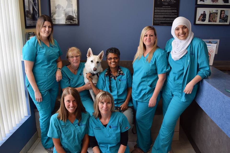 Livingston Animal Hospital | 42 St Andrews Ave, Grimsby, ON L3M 3S2, Canada | Phone: (905) 309-9600