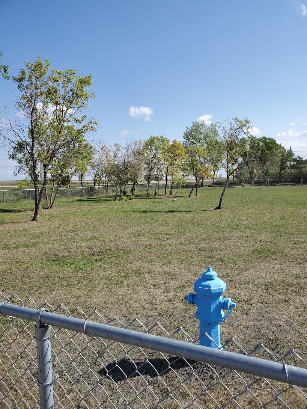 The Bark Park | Rosetown, SK S0L 2V0, Canada | Phone: (306) 882-2214