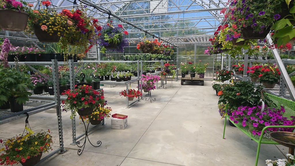 Vieveen Nursery | 468 Mara Rd, Beaverton, ON L0K 1A0, Canada | Phone: (705) 426-7067