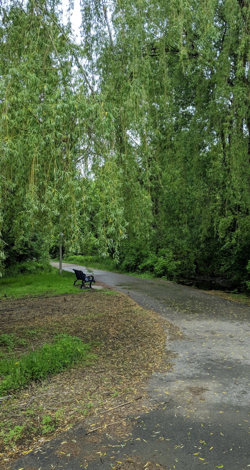 Duck Bench | Stephen Llewellyn Trail, Brampton, ON L6R 3G8, Canada