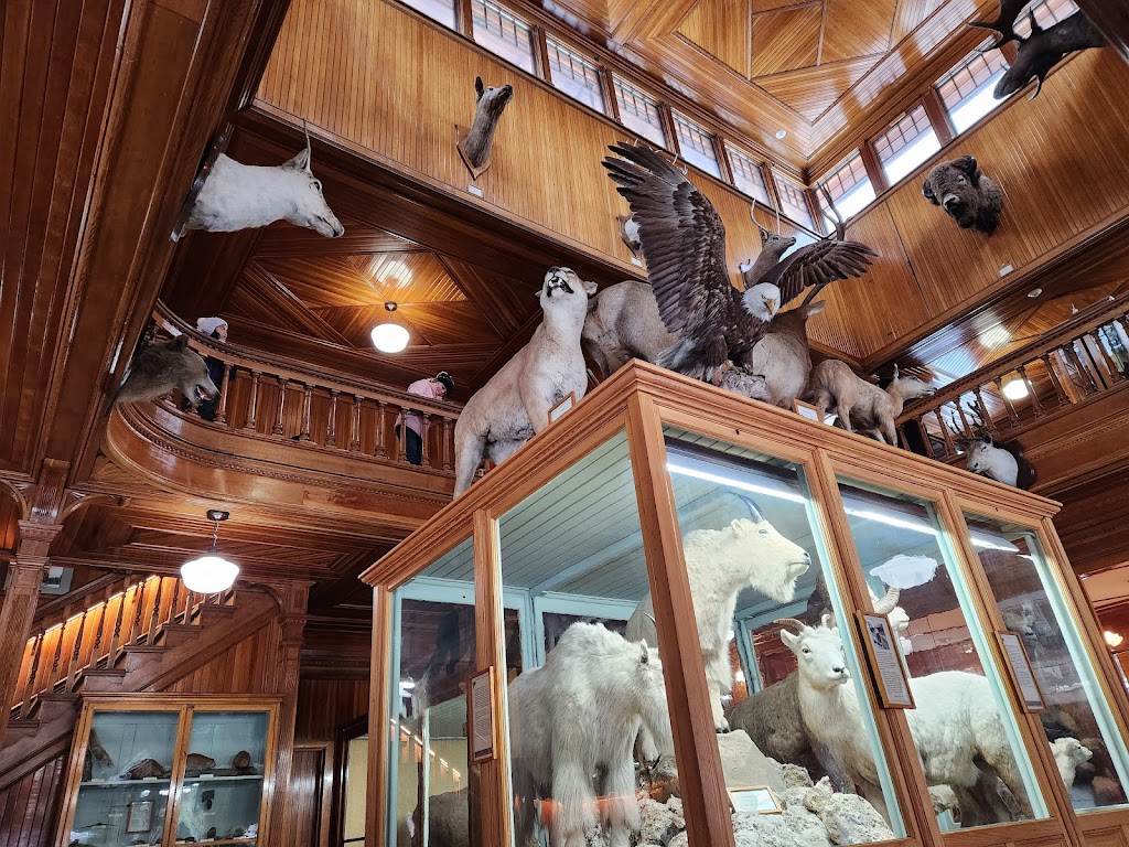 Banff Park Museum National Historic Site | 91 Banff Ave, Banff, AB T1L 1K2, Canada | Phone: (403) 762-1558