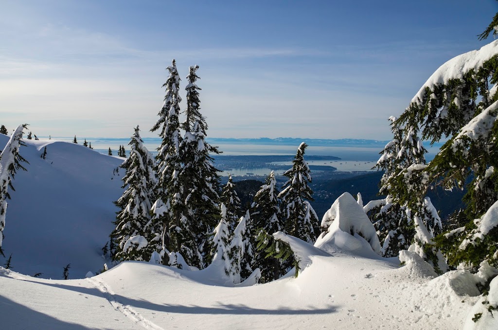 Mt Seymour Resort | 1700 Mt Seymour Rd, North Vancouver, BC V7G 1L3, Canada | Phone: (604) 986-2261