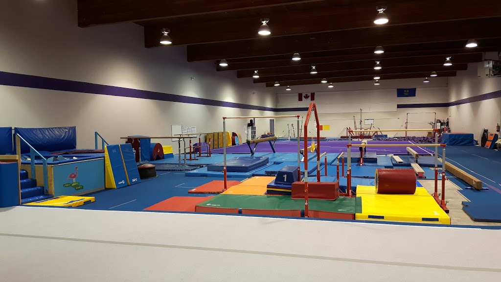 Precision Gymnastics Association (Wetaskiwin & District Gymnasti | 0T8, 4520 48 St, Wetaskiwin, AB T9A 2S1, Canada | Phone: (780) 352-3681