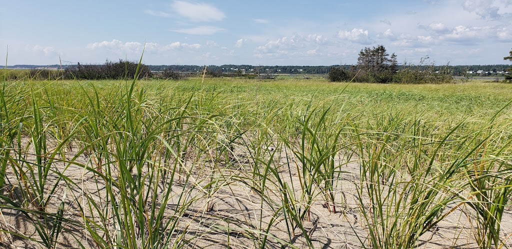 Banc de Portneuf-sur-Mer | Sainte-Anne-de-Portneuf, QC G0T 1P0, Canada | Phone: (418) 238-2642