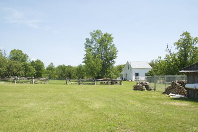 Kirtons Kennels | 4854 Colebrook Rd, Harrowsmith, ON K0H 1V0, Canada | Phone: (613) 372-5540