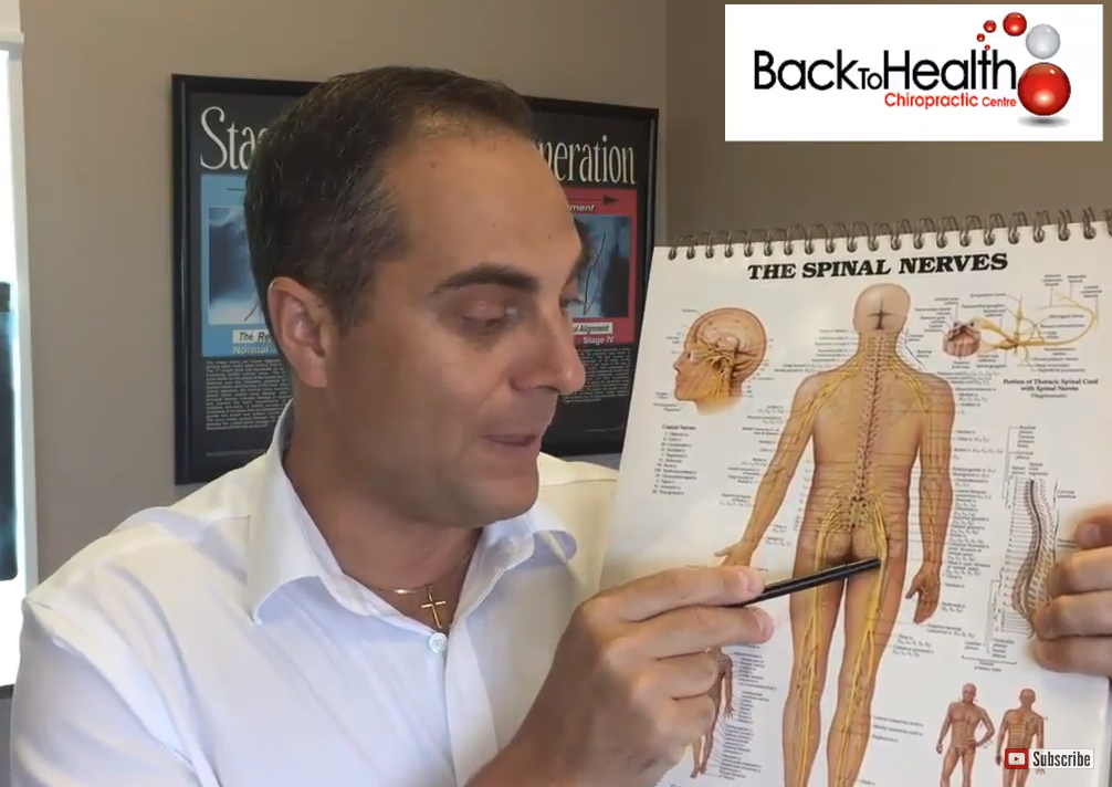 Dr. Walter Salubro - Back To Health Chiropractic Centre | 20 Cranston Park Ave, Maple, ON L6A 2W2, Canada | Phone: (905) 303-1009