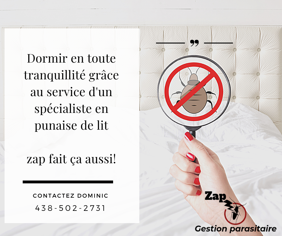 Zap Gestion Parasitaire | 351 Chemin de la Branche-du-Rapide, Marieville, QC J3M 1N9, Canada | Phone: (438) 502-2731