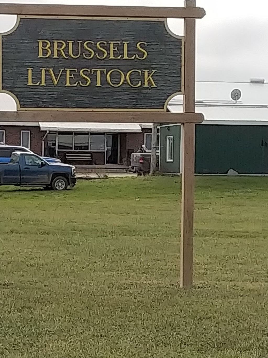 Brussels Livestock | R.R. # 3, Brussels, ON N0G 1H0, Canada | Phone: (519) 887-6461