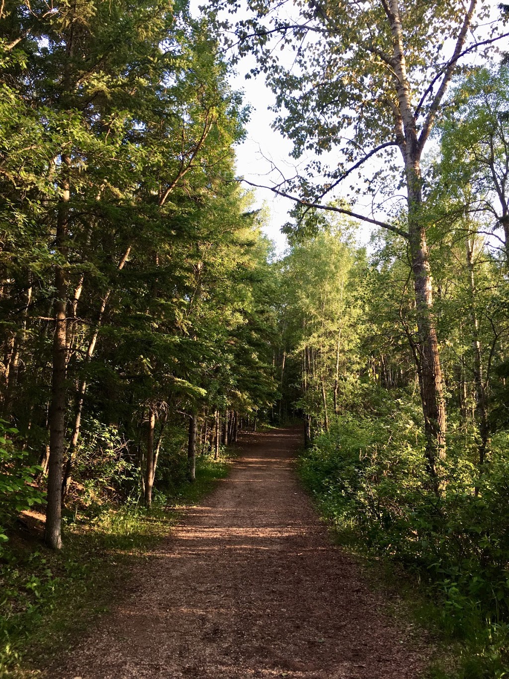 Whitemud Creek Stairs #250 | Unnamed Road, Edmonton, AB T6J 2C8, Canada