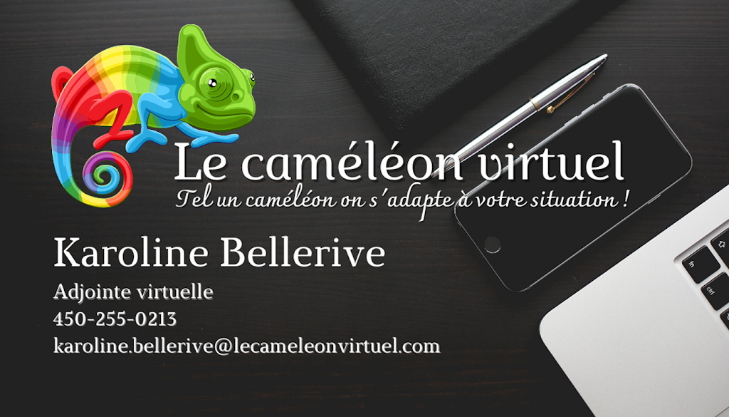 Le caméléon virtuel | 8785 Rue Duceppe, Laval, QC H7A 1R4, Canada | Phone: (450) 255-0213