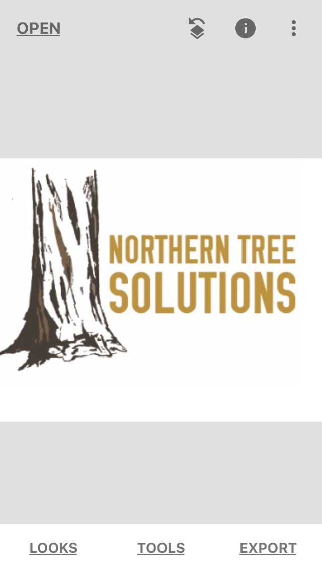 Taylor Young; Northern Tree Solutions INC. | 6 Florence St W, Huntsville, ON P1H 1T2, Canada | Phone: (705) 349-9769
