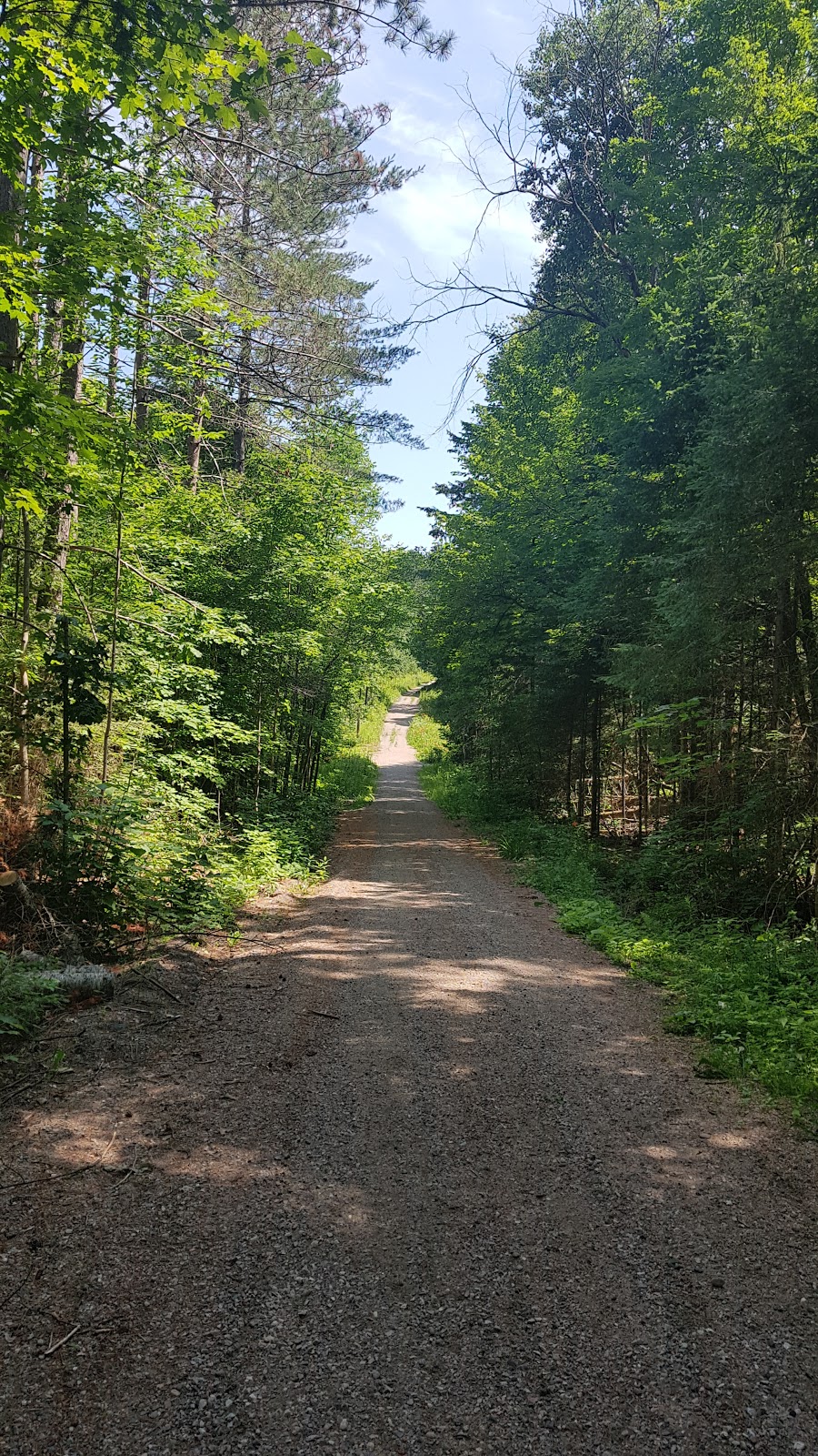 Lac Philippe - Parc de la Gatineau | 300 Chemin du Lac-Philippe, Sainte-Cécile-de-Masham, QC J0X 2W0, Canada | Phone: (866) 456-3016