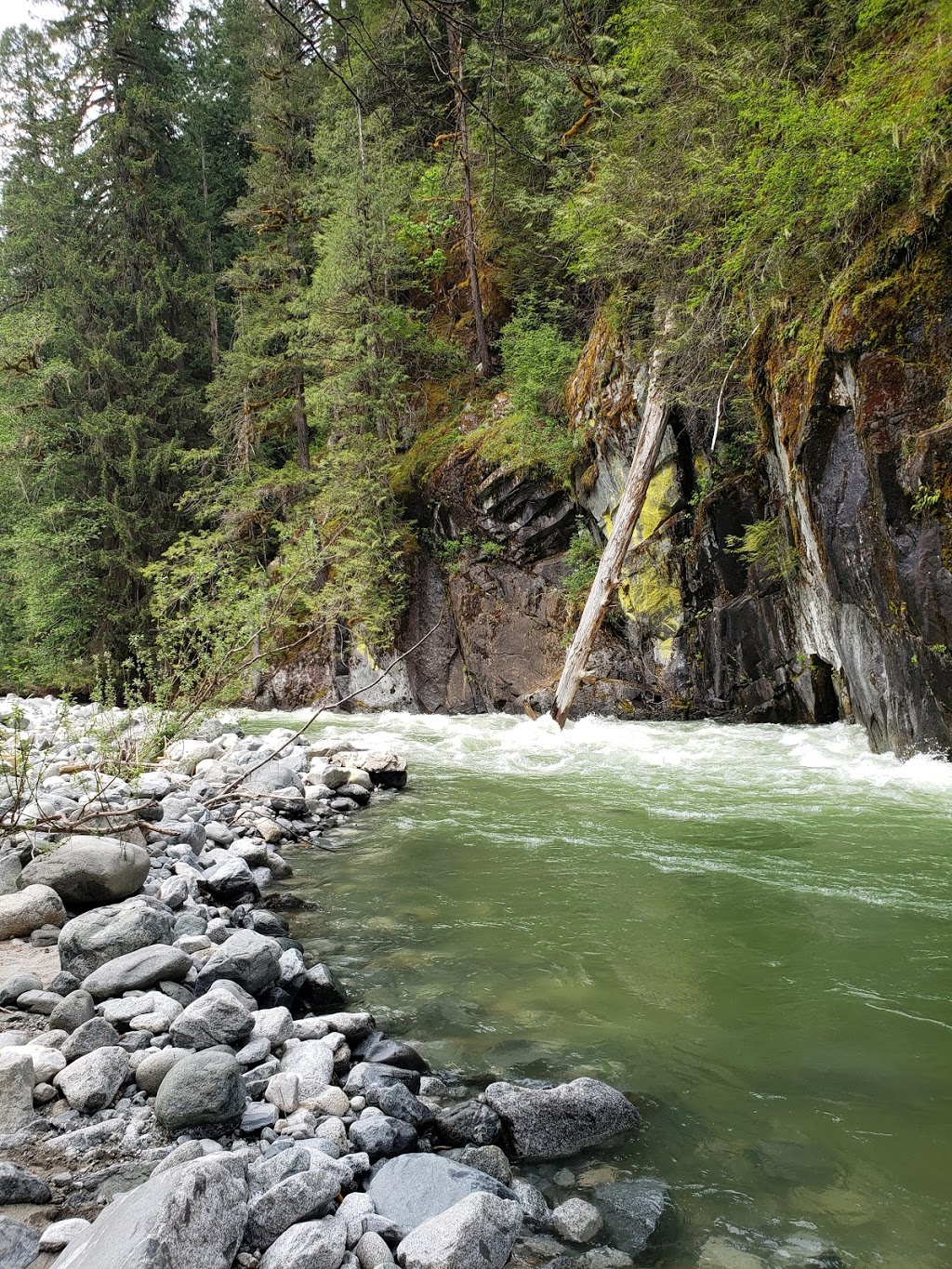 Siqurd Valley Trail Trailhead | Ashlu Rd, Brackendale, BC V0N 1H0, Canada