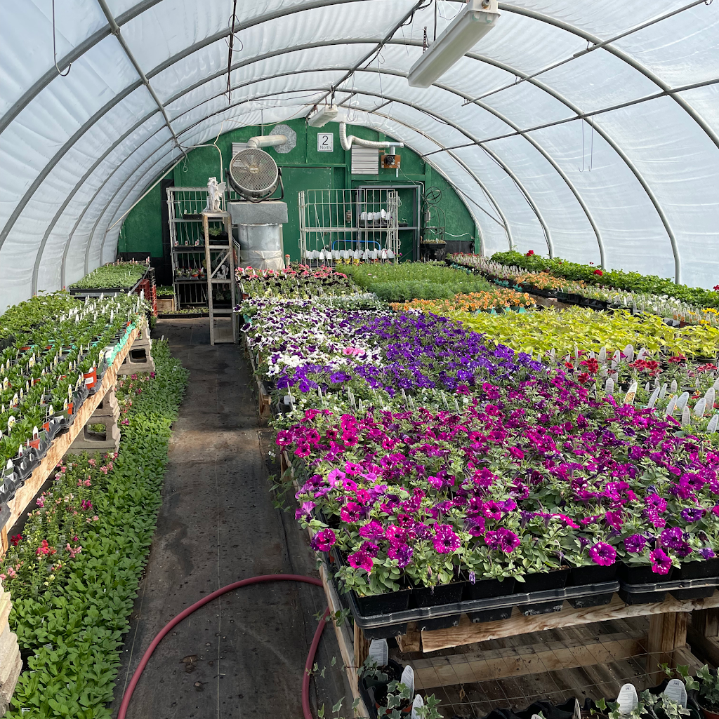 The Planted Earth Greenhouses | 38116 Range Road 13, AB T4E 0J8, Canada | Phone: (403) 887-5203