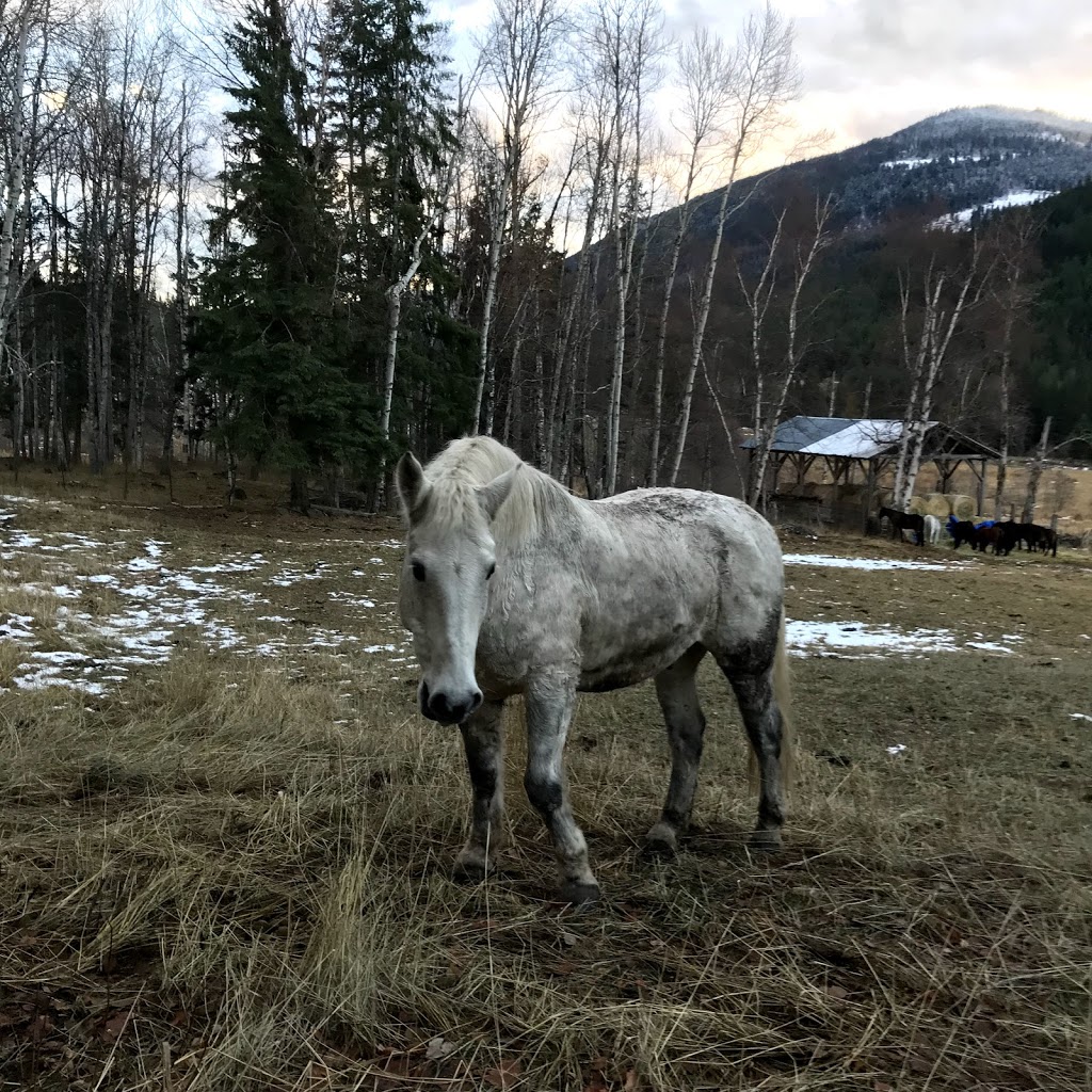 Epona Rise Retreat Center @ Tod Mountain Cabins | 3968 Heffley Louis Creek Rd, Heffley Creek, BC V0E 1Z1, Canada | Phone: (250) 578-0226