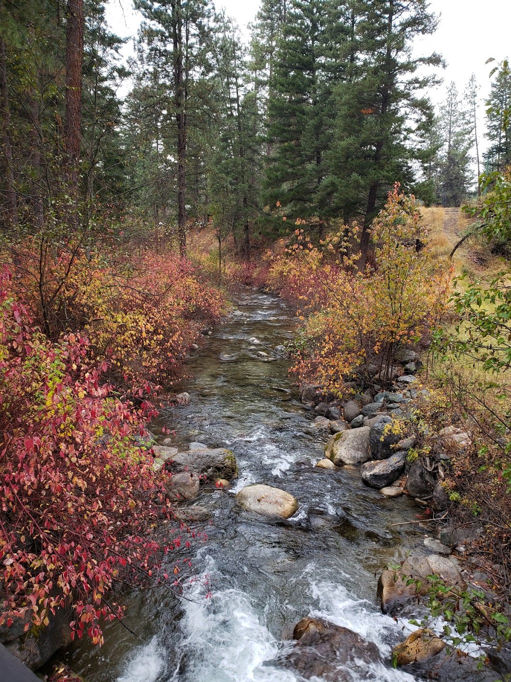 Rainbow Lake Castle Resort | 375 Rainbow Lake Rd, Princeton, BC V0X 1W0, Canada | Phone: (250) 295-7988