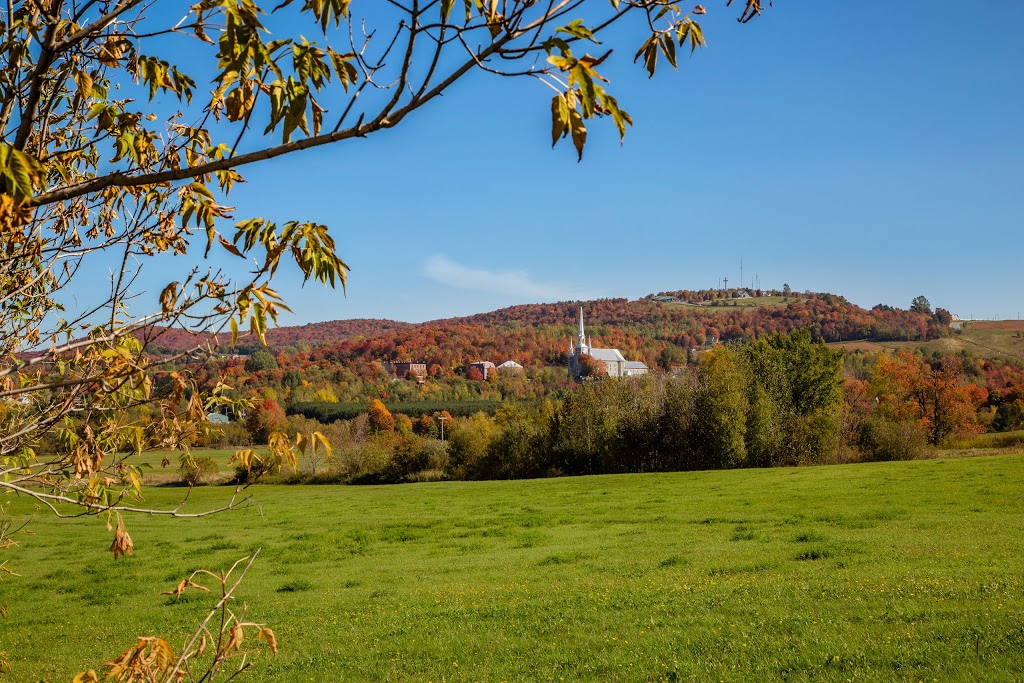 Parc du Mont-Arthabaska | Norbertville, QC G0P 1B0, Canada