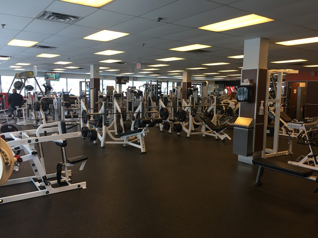 GoodLife Fitness Milton Steeles | 855 Steeles Ave E, Milton, ON L9T 5H3, Canada | Phone: (905) 876-3488