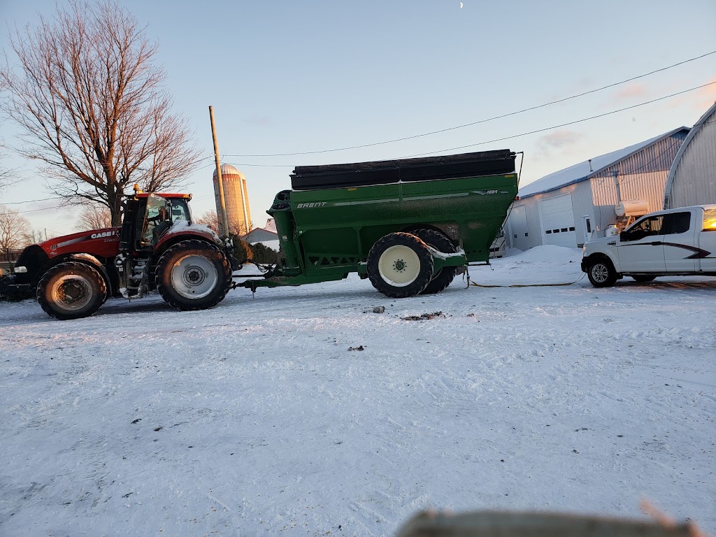 Ferme Porcité | 87 Rang du Bas-Saint-Jacques, Saint-Elzéar, QC G0S 2J0, Canada | Phone: (418) 805-8265