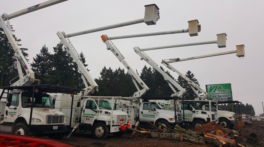 VI Tree Service | 1495 Wilson Rd, Nanaimo, BC V9R 6R3, Canada | Phone: (844) 884-8733