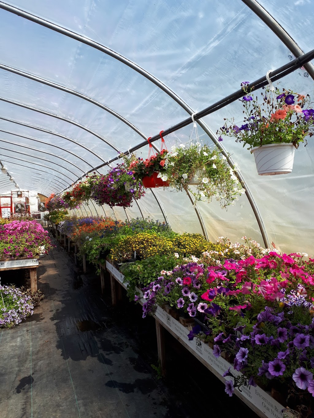 Granola Garden Ctr | 3304 Morin Dr, Gunn, AB T0E 1A0, Canada | Phone: (587) 859-1633