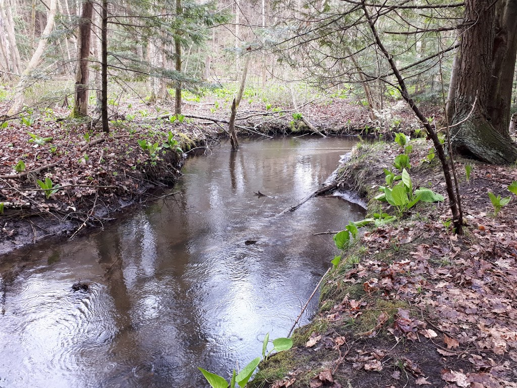 Spooky Hollow Nature Sanctuary | 293 Spooky Hollow Rd, Vittoria, ON N0E 1W0, Canada