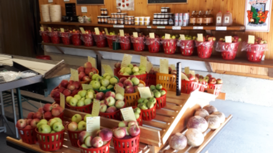 Blakes Apple Orchard | 42933 St Michaels Rd, Brussels, ON N0G 1H0, Canada | Phone: (519) 887-6972