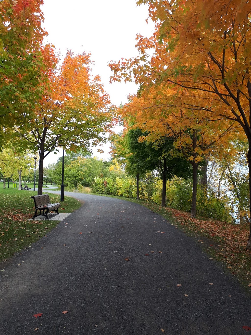 Parc Pierre-Tétreault | Mercier-Hochelaga-Maisonneuve, Montreal, QC H1L, Canada | Phone: (514) 872-0311