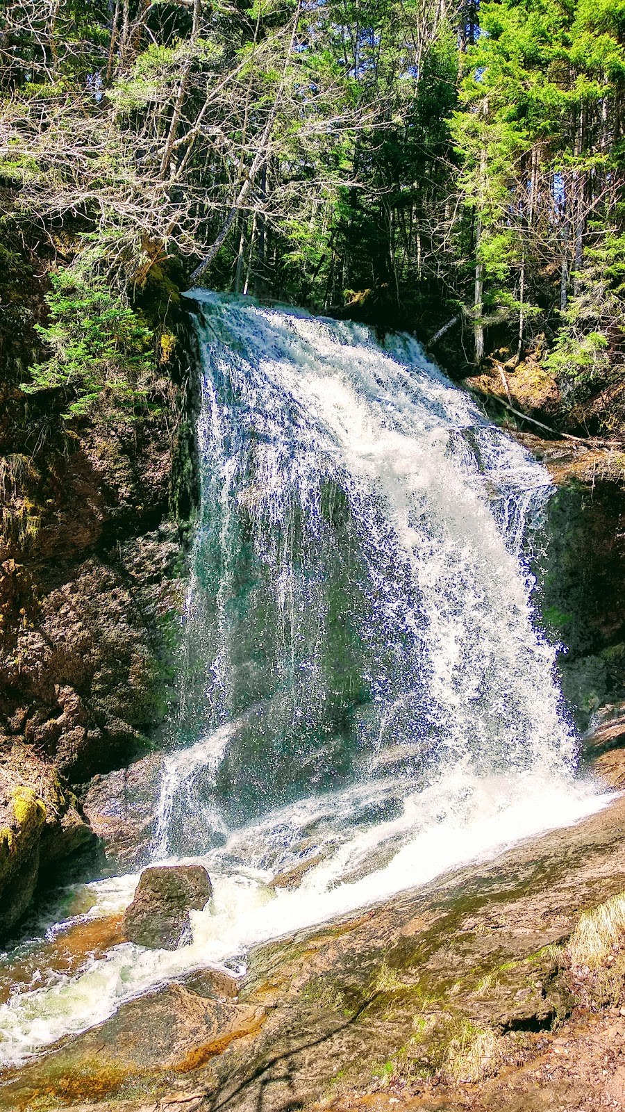 Fuller Falls Trailhead | Fundy Trail Pkwy, Salmon River, NB E5R 0B3, Canada | Phone: (866) 386-3987