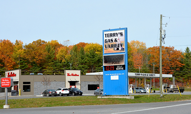 Terrys Gas And Variety | 1420 Mississauga St, Curve Lake, ON K0L, Canada | Phone: (705) 657-1998