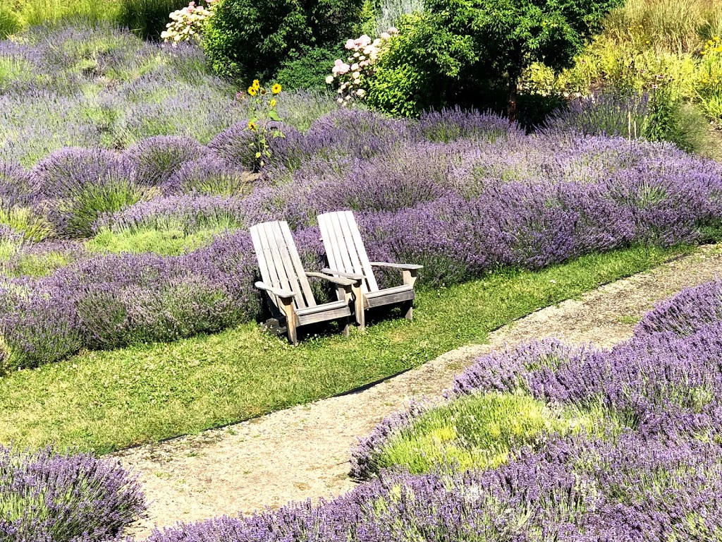 Okanagan Lavender & Herb Farm | 4380 Takla Rd, Kelowna, BC V1W 3C4, Canada | Phone: (250) 764-7795