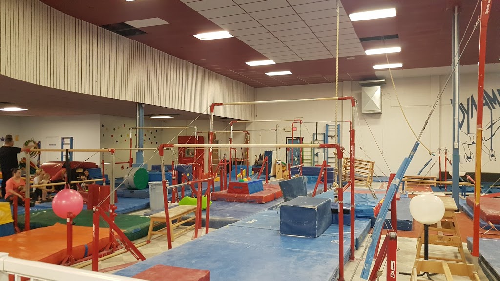 Dynamyx Gymnastics Club | 25 Chisholm Ave #104, St. Albert, AB T8N 5A5, Canada | Phone: (780) 458-3153