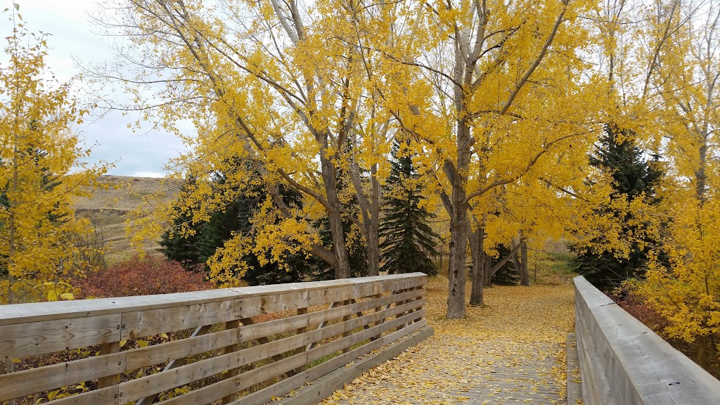 Cochrane Farmers Market | parking lot Spray Lake Sawmills Family Sports Centre, 800 Griffin Rd E, Cochrane, AB T4C 2B8, Canada | Phone: (403) 851-0562