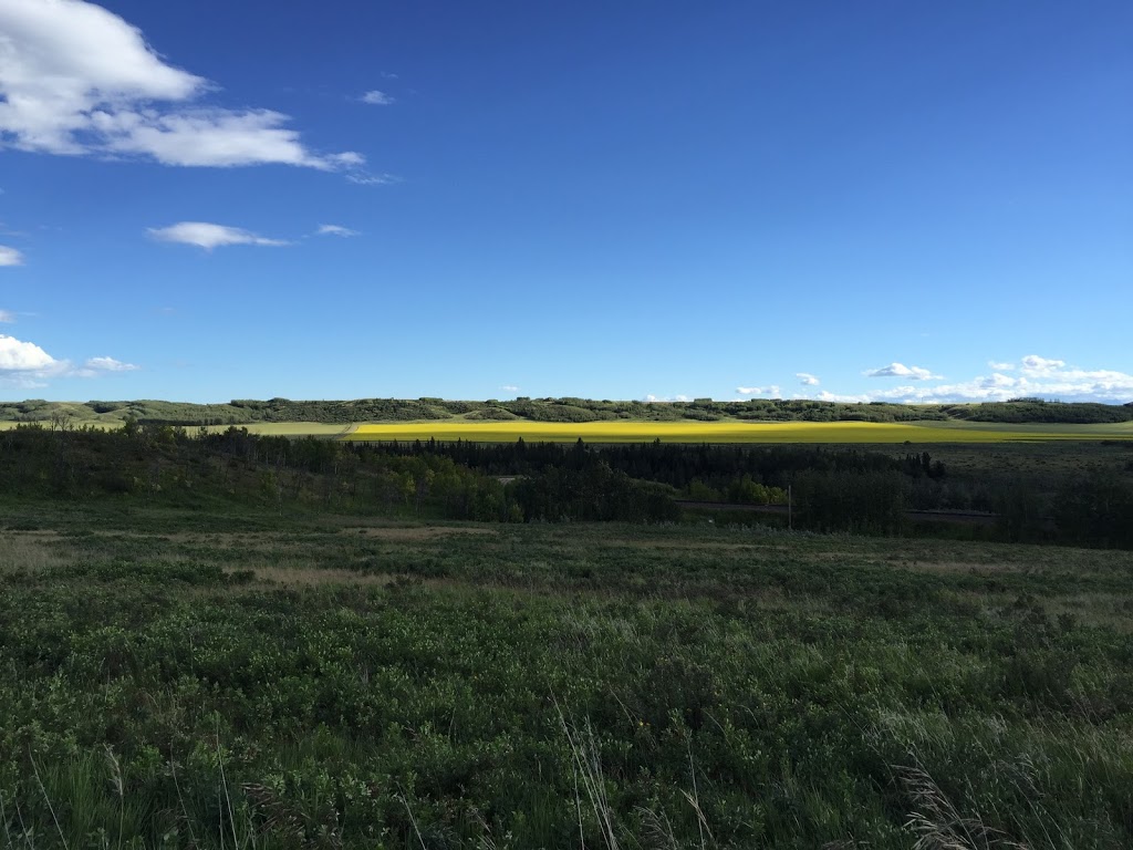 Vista Point | Rocky View No. 44, AB T4C 0B7, Canada