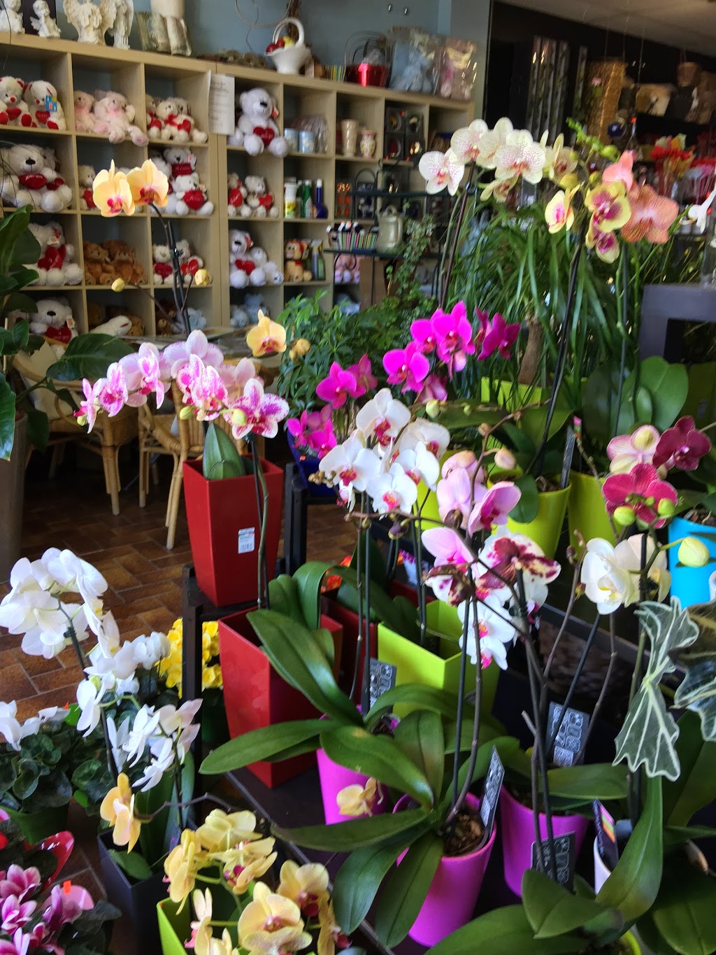 Arum Fleuriste Montréal | 6751 Rue Beaubien E, Montréal, QC H1M 3B2, Canada | Phone: (514) 254-4353