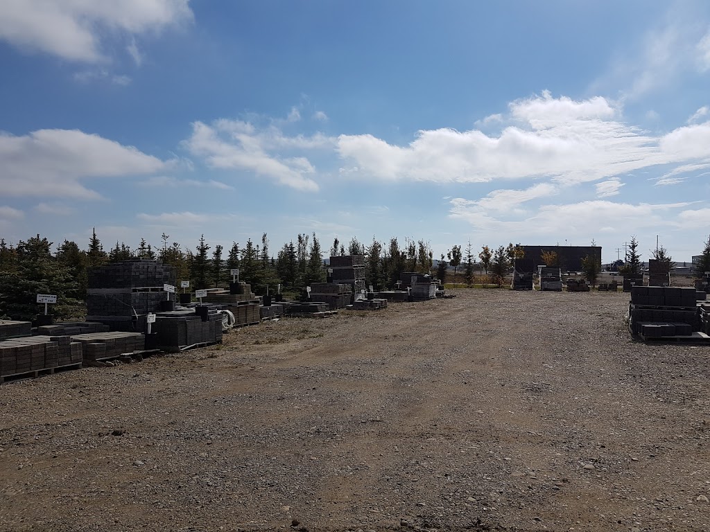 Branched Out Nursery | 41078 Big Hill Springs Rd, Cochrane, AB T4C 1A1, Canada | Phone: (403) 851-1323