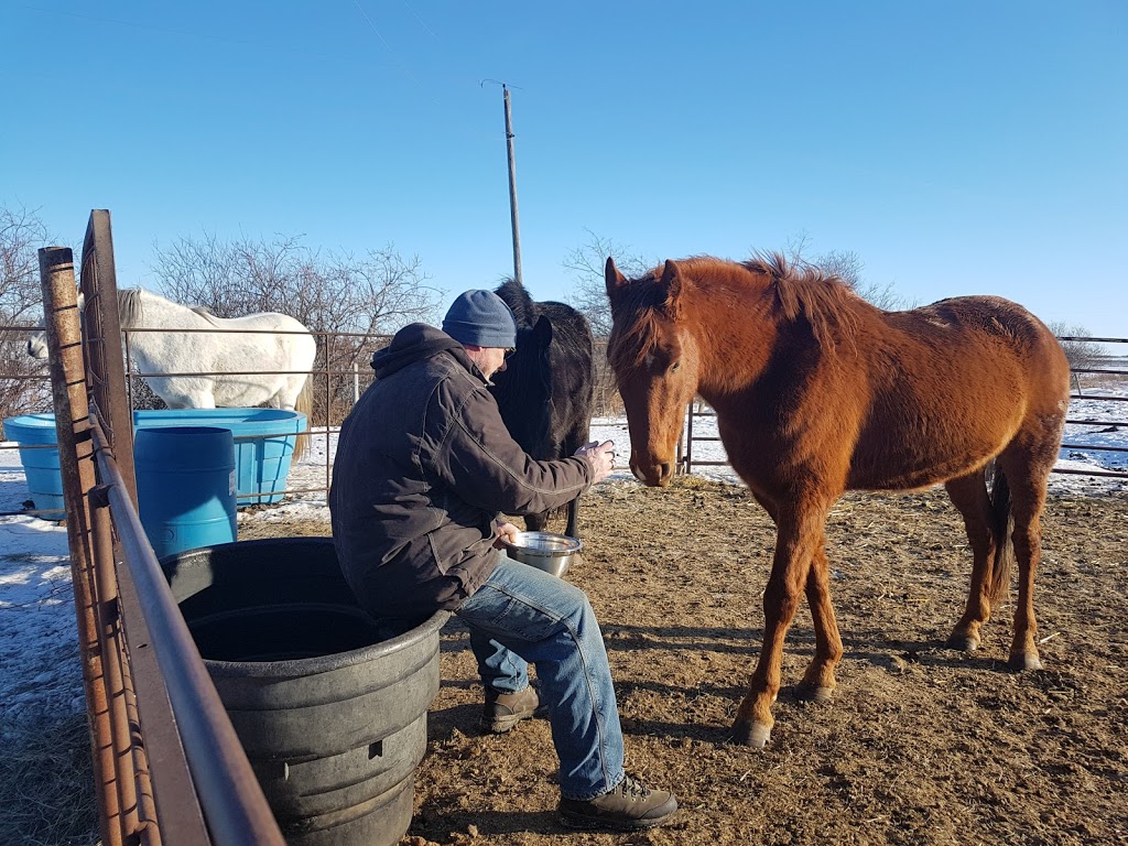 Fayebrook Farms | RURAL, ROUTE 1, Bawlf, AB T0B 0J0, Canada | Phone: (780) 373-2330