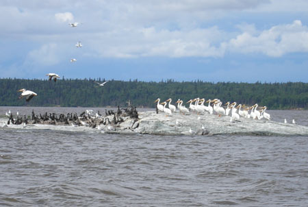 Pelican Inlet Development & Marina | Pelican Harbour Drive, Manigotagan, MB R0E 1E0, Canada | Phone: (204) 599-7436