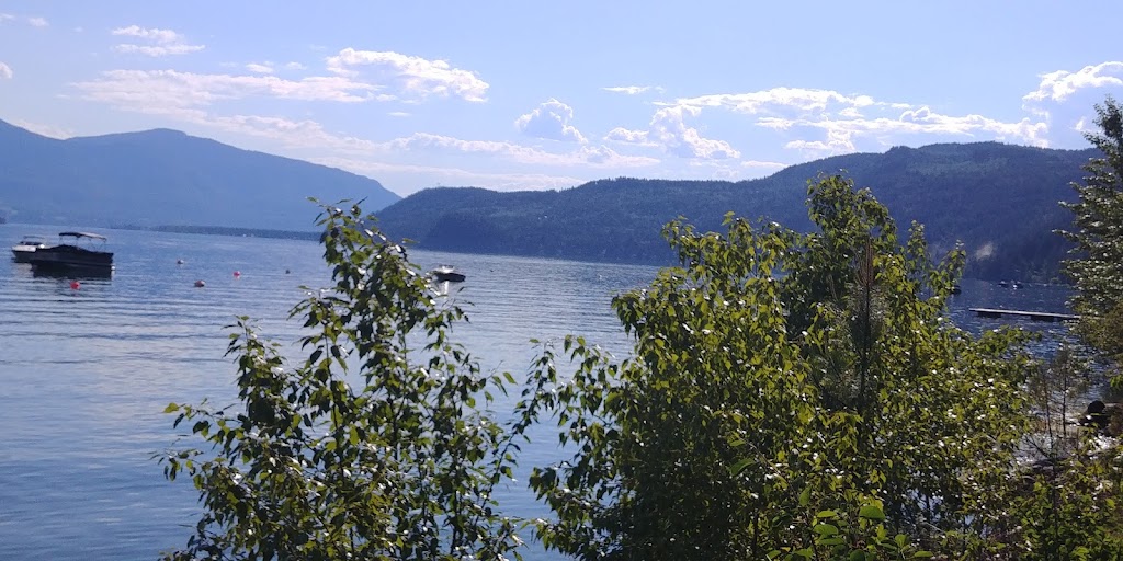 Shuswap Cabins | 5161 Squilax-Anglemont Rd, Celista, BC V0E 1M6, Canada | Phone: (250) 851-6833